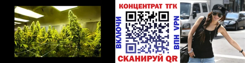 ТГК концентрат  цены   Кстово 