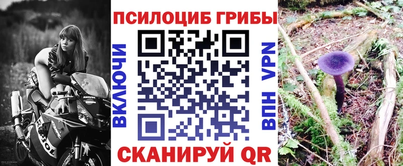 Галлюциногенные грибы Psilocybine cubensis Кстово