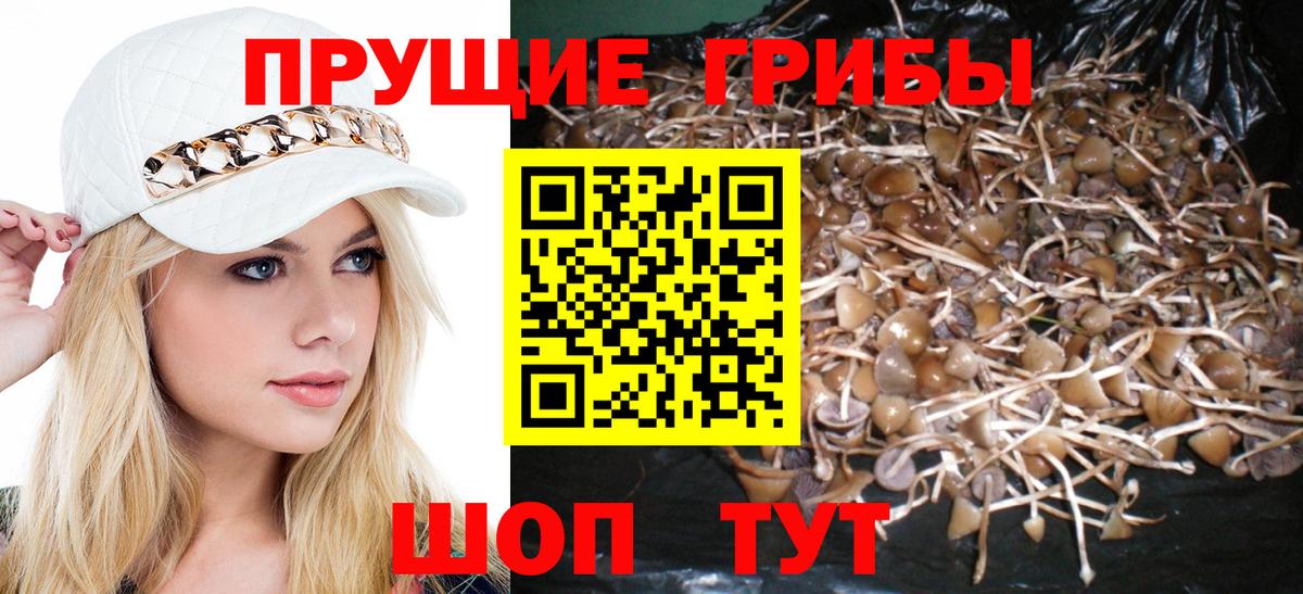 Галлюциногенные грибы MAGIC MUSHROOMS  Вход с VPN  Кстово  Псилоцибиновые грибы мицелий 