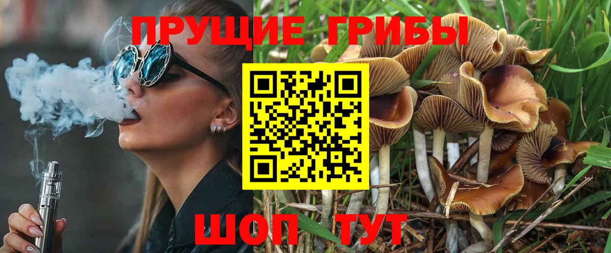 Псилоцибиновые грибы MAGIC MUSHROOMS Кстово