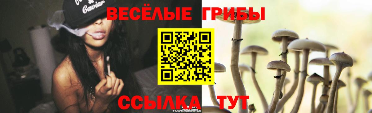 Галлюциногенные грибы мухоморы  Кстово 